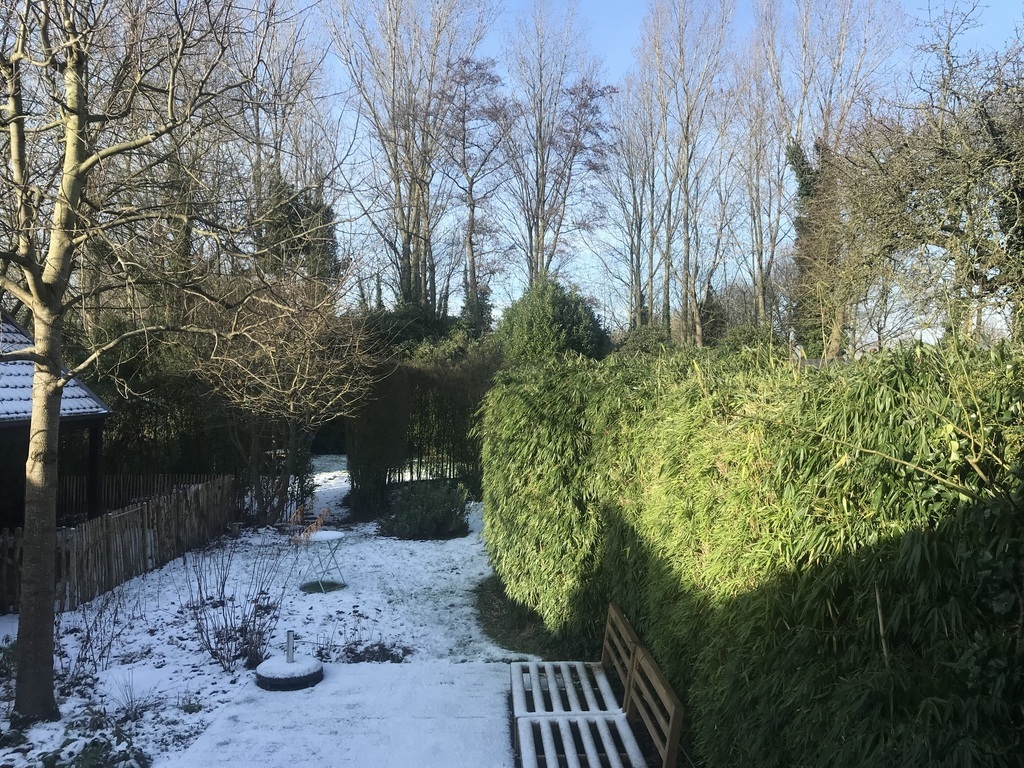 Our garden in snowy times (only a few days a year)