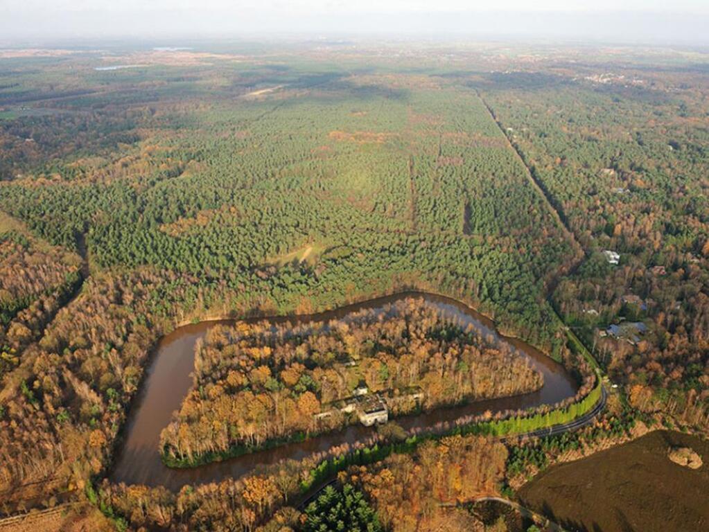 There are a lot of beautiful woods to walk in, 15 min driving from our house
