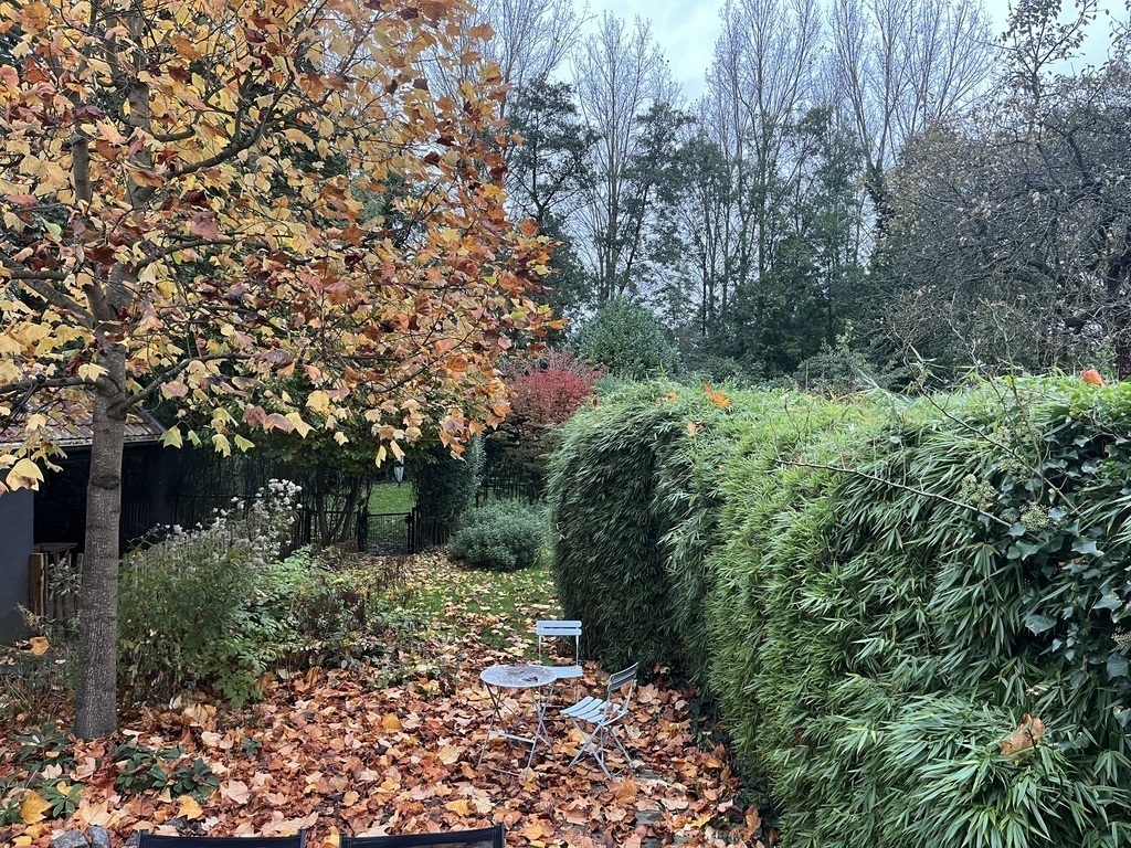 Our garden in autumn