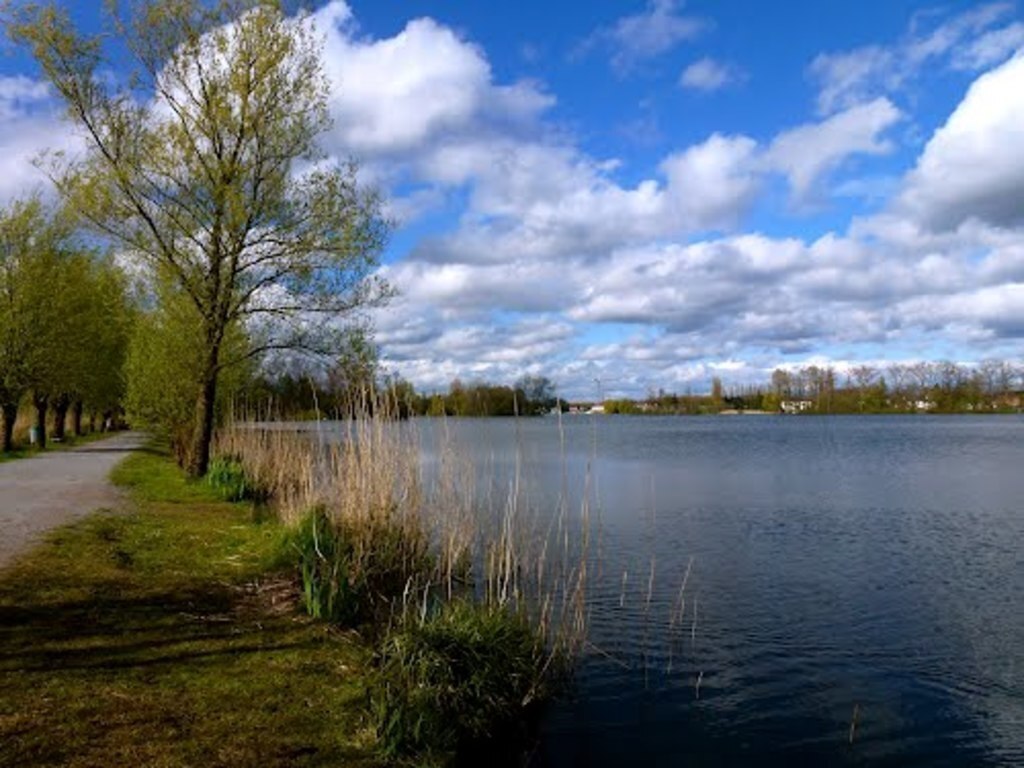 Donk lake, perfect for a walk with the family + enjoy a great meal or icecream - 5 minutes by bike