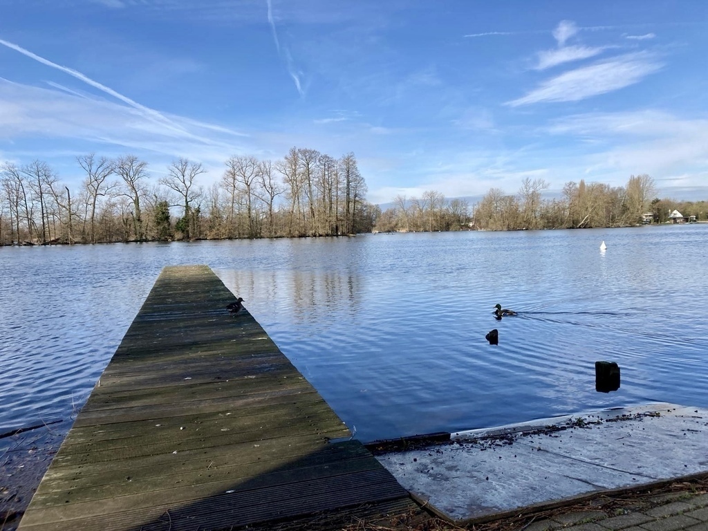 Donk lake - 2 km from the house. Boat, sup, restaurant, minigolf, walk, bike trip... All possible in this area!