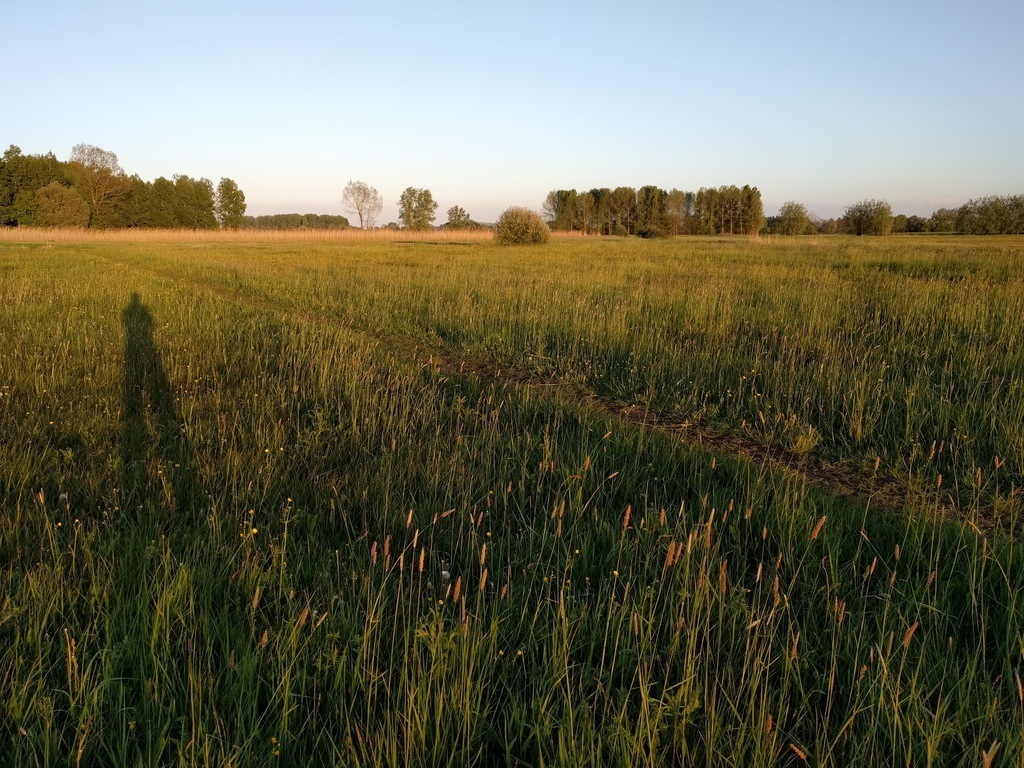 Evening walk at 2 km from our house