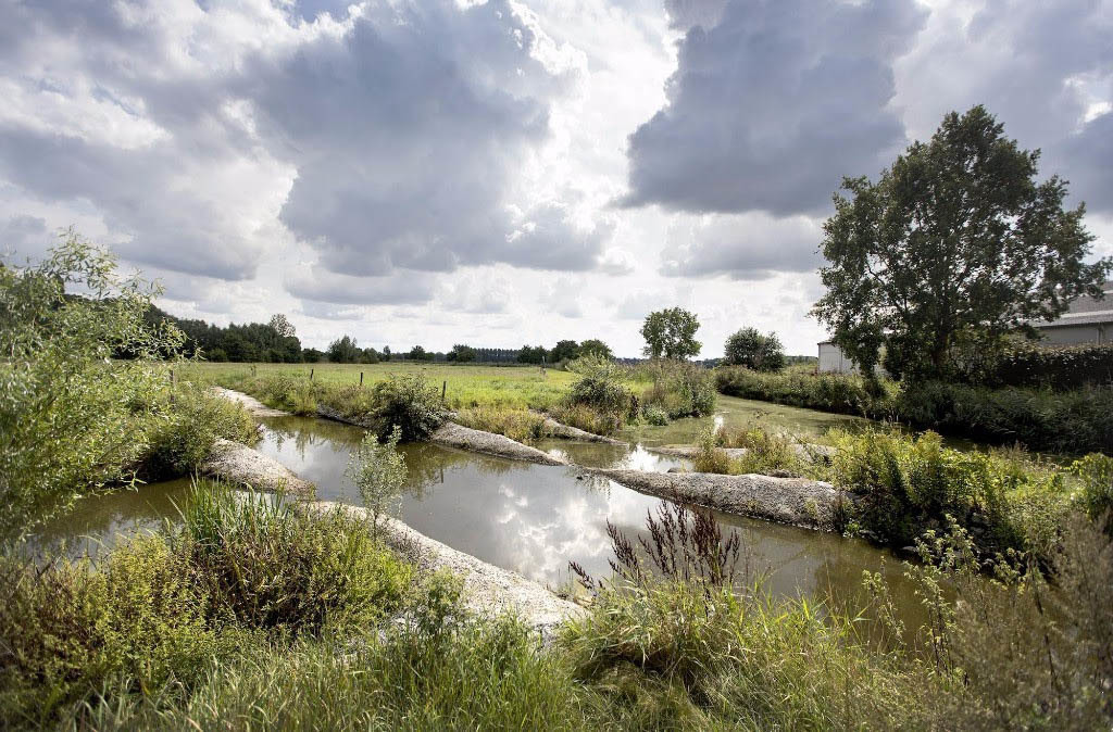 Walk in the natural park 'Kalkense Meersen'