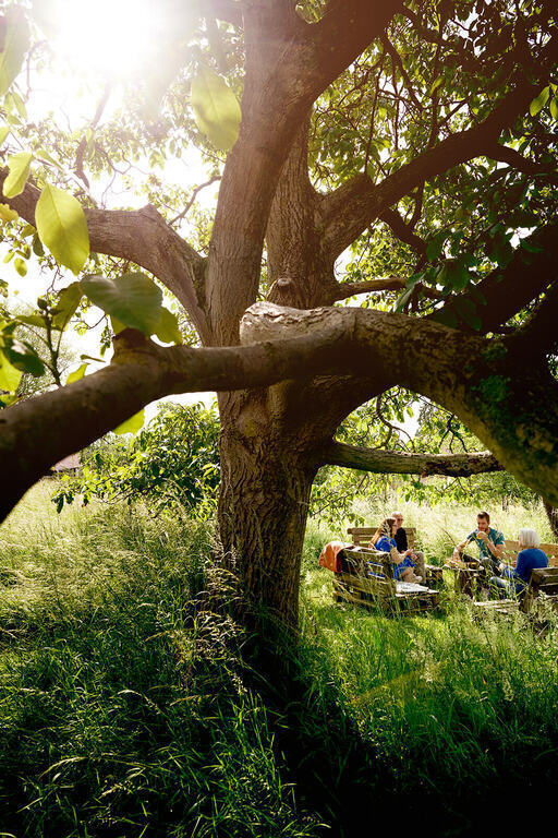 Our favorite spot in our garden in summer!