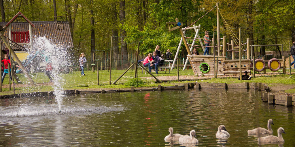 Eendenkooi, all sorts of ducks and birds, combine it with a walk around the lake - 5 mins by bike