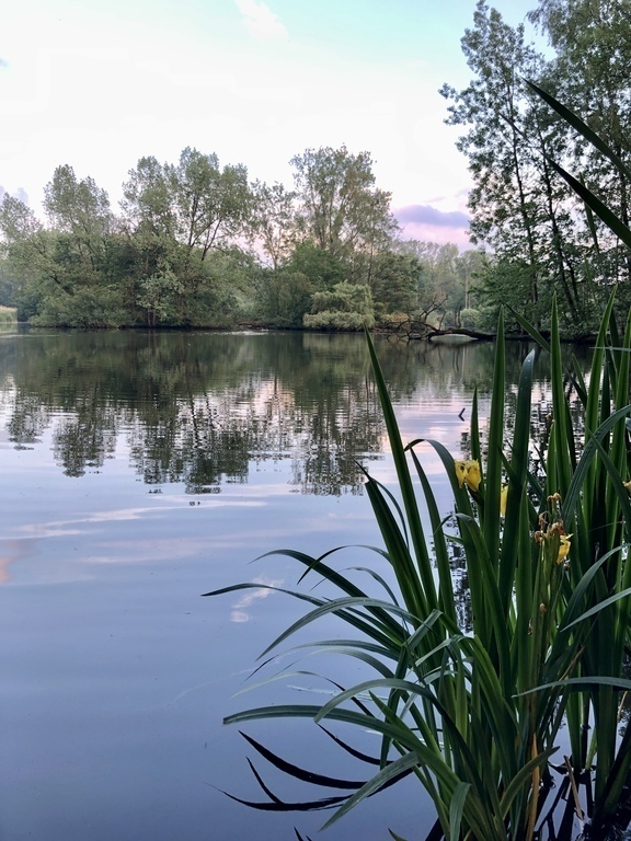 Nature within 5 km from the house