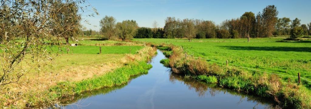 Kalkense Meersen, protected area, lots of birds, water, flowers, fields.