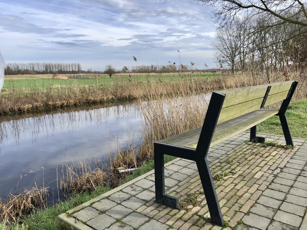 National Park Kalkense Meersen, beautiful nature and perfect for walking or biking - 5 km from the house.