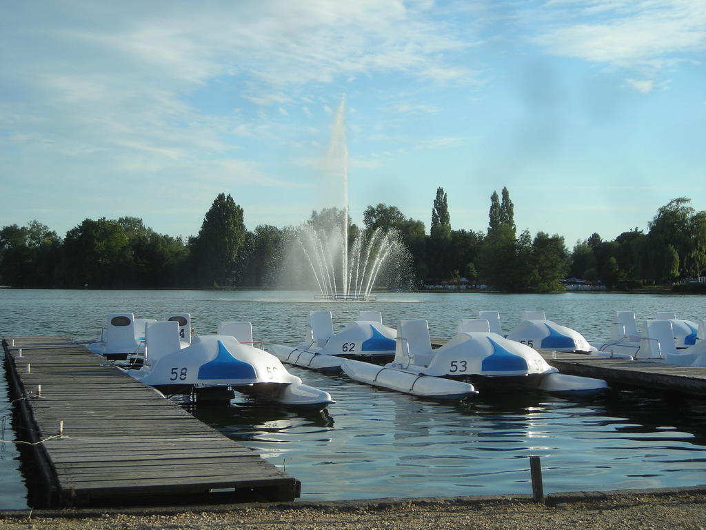 Donk lake, take a walk or rent a boat - 5 mins by bike