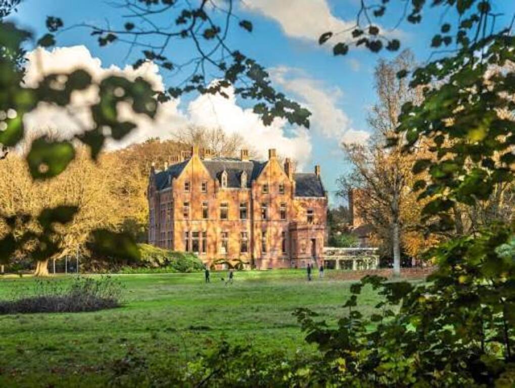 Bulskampveld (forest and public domaine - in our immediate neighbourhood)