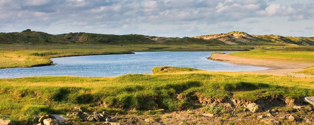 Nature reservation "Het Zwin"