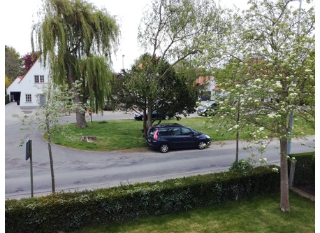 View on our lovely street :) 