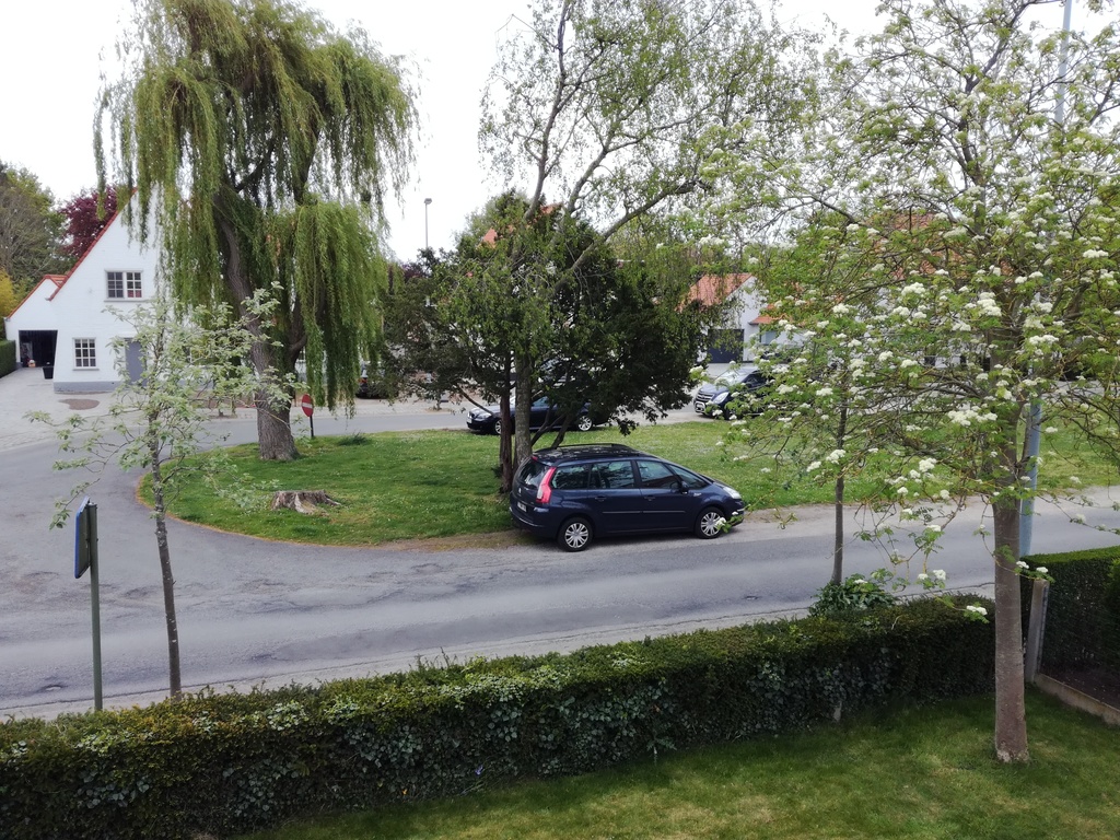 View on our lovely street :) 