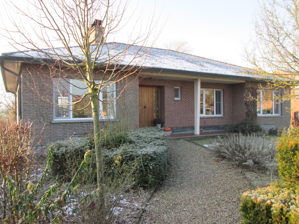 front of the house,  january 2017