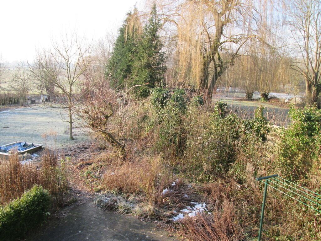 terrace at the back- garden level