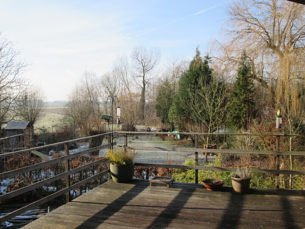 terrace at the back- kitchen and living room level