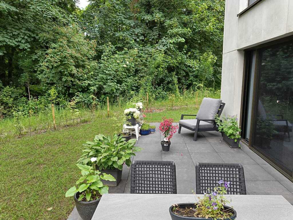 Backyard with terrace