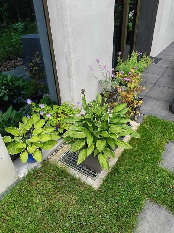 Side-garden with terrace
