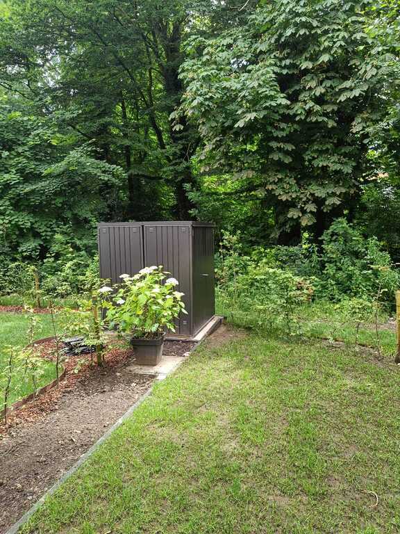 Backyard with terrace