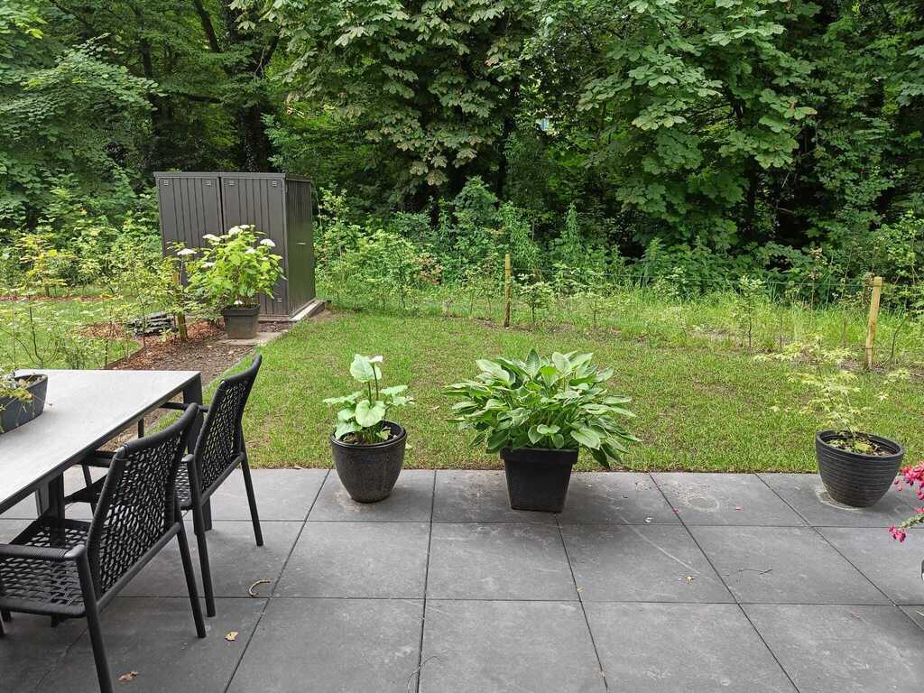Backyard with terrace