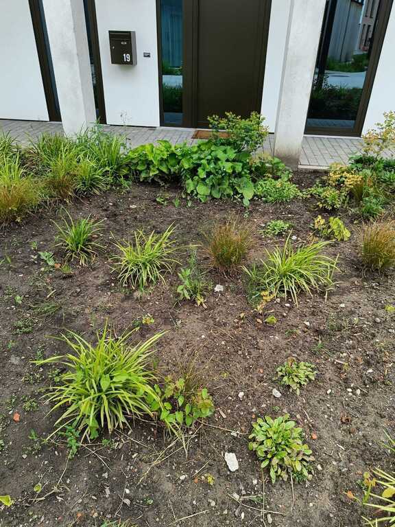 frontview of the duplex