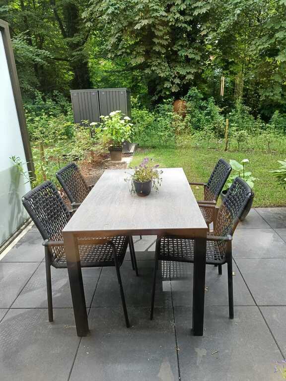 Backyard with terrace