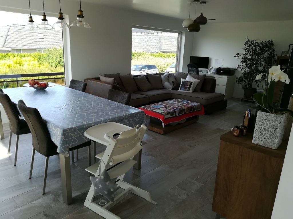 Living and dining room and view to the street