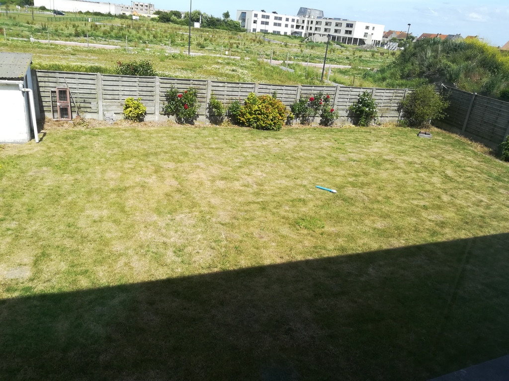 Garden, just grass and a big trampoline and a small childrens house