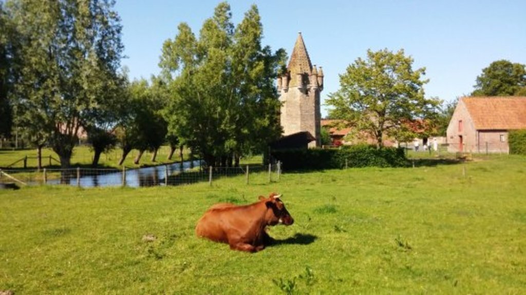 'De Zeven Torentjes': petting zoo with a nice (water) playground and numerous farmyard animals (+ cafetaria).