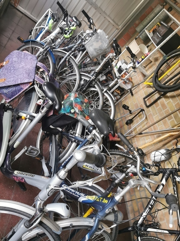  7 bicycles available: 7 adult bicycles, 1 electric bike