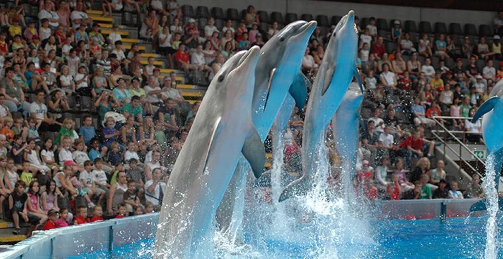 Boudewijn Seapark - www.boudewijnseapark.be - 5 min.