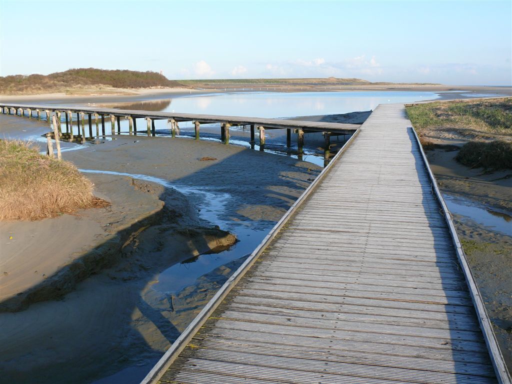 Nature reserve Zwin - 20 min by car