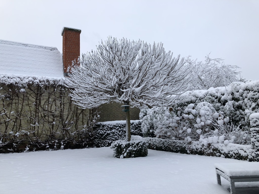 still wintertime (once in a decade :-))