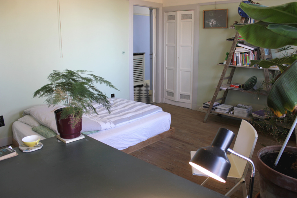 Guest bedroom and office