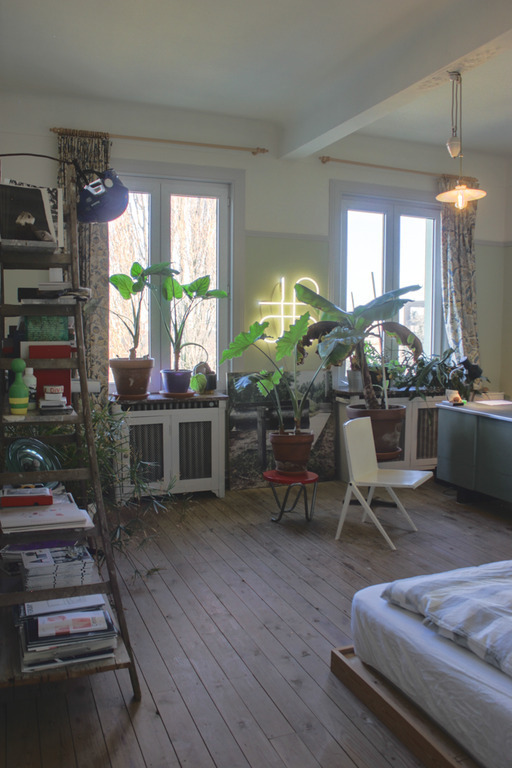 Guest bedroom and office