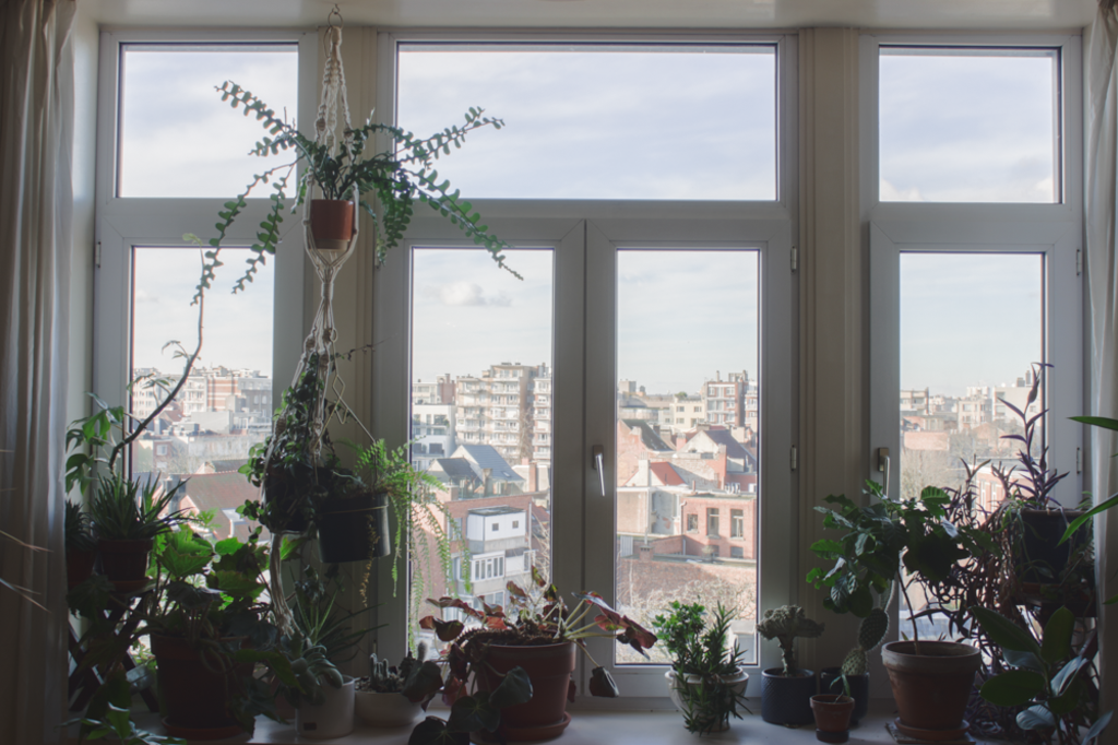 View from the living room