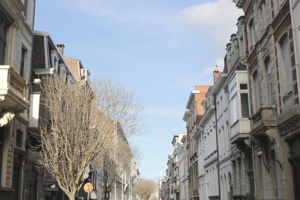Our street. It's a one way street with a strict speed limit of 30km/h.