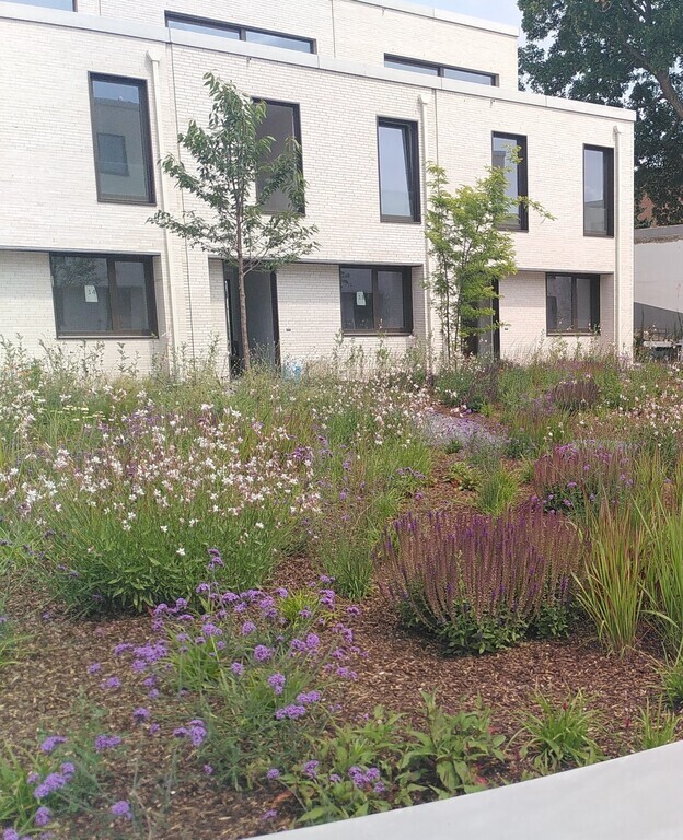 Front house, our house is on the right side