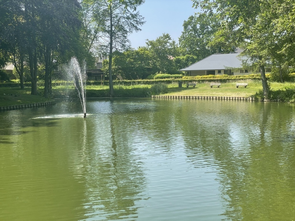 Front of the house near a park