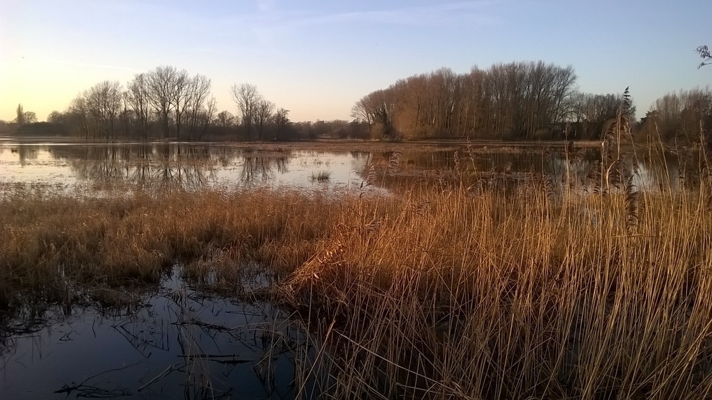 'Bourgoyen' NaturePark, 2 km from our house