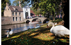 Beguinage, Bruges