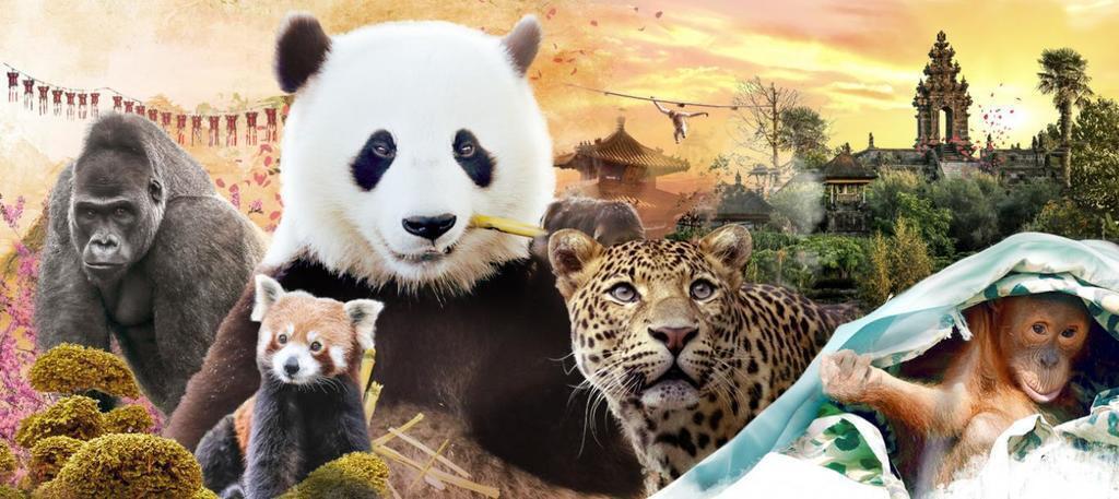 Pairi Daisa (1h30 min drive)