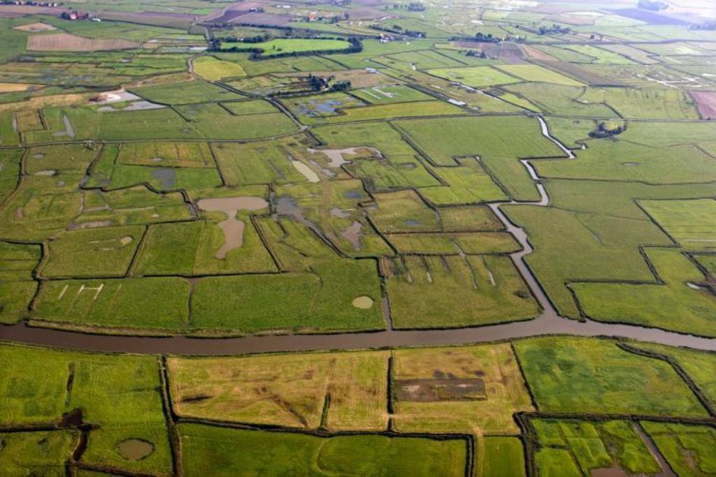 Amazing historic polder landscape around Bruges makes wonderful bicycle trips. 