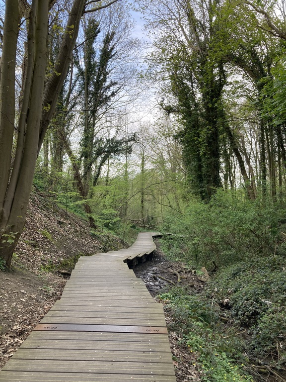 Natuurgebied De Wolfsputten