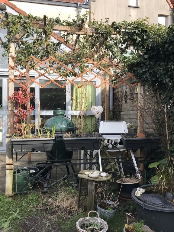 Our city garden with terrace ( spring 2022)