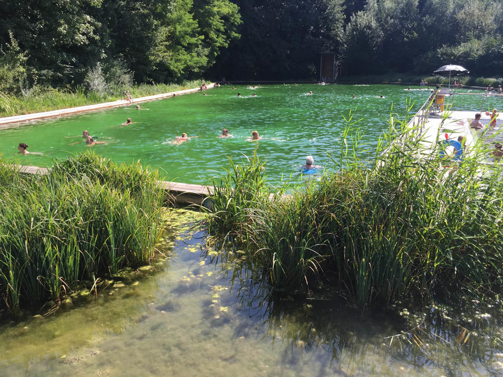 Swimming Pond in Boekenberg Park at 500m