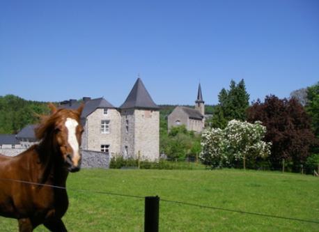 the ardennes with lots of hiking trails