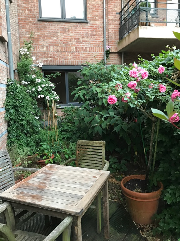 Front terrace (faces south and west)