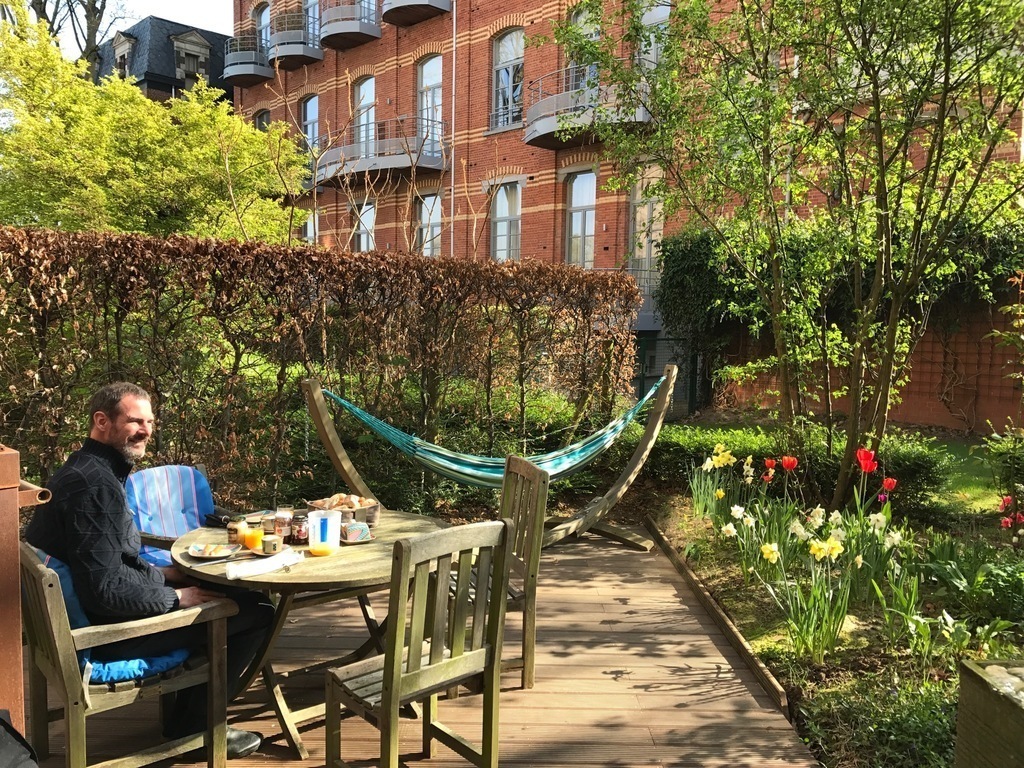 Back terrace (faces east/south east)