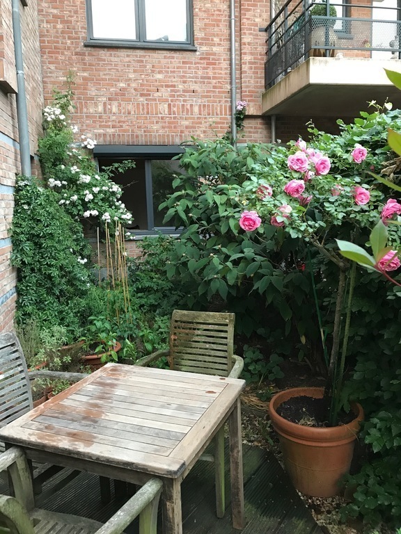 Front terrace (faces south and west)